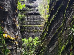 -梭布垭石林景区