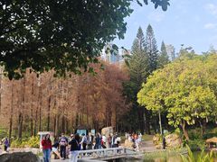 -广州珠江公园