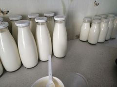 -正飞鲜奶(公园北街店)