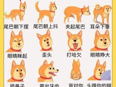 -博特宠物医院24h犬猫全科.骨科·异宠