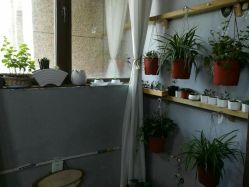 -HG美发设计沙龙