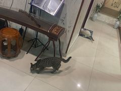 -焕醒·川派采耳(云街店)