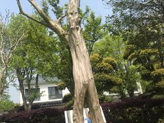 -武汉紫薇都市田园