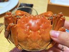 -金安大饭店-金品自助餐厅