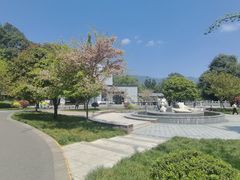 -中国大熊猫保护研究中心雅安碧峰峡基地