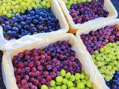 -马陆小张葡萄园农家乐