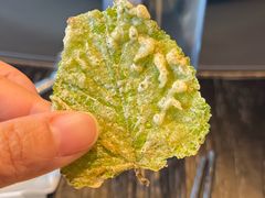 -阿露佳·舌尖上的安吉菜