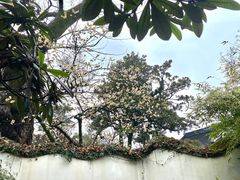 -拙政园