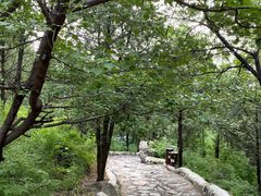 -阳台山自然风景区