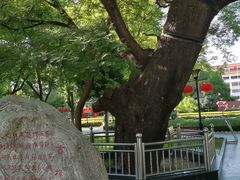 -正定古城-开元寺