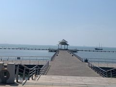 -苏州太湖国家湿地公园