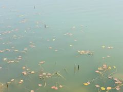 -麓舍全景太湖温泉别墅团建拓展会议亲子