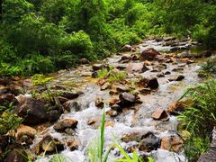 -广州白江湖森林公园
