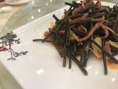 -披云山庄