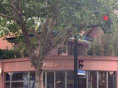 -WHEN PIGS FLY当猪飞