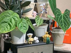 -Dogi&kiki Coffee(中心商务大厦店)