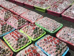 -菜园坝水果市场