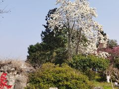 -玄武湖景区-情侣园游乐场