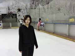 -世界之窗阿尔卑斯冰雪世界