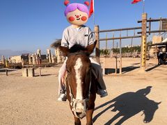 -镇北堡西部影城