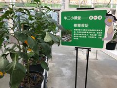 -黄龙溪欢乐田园