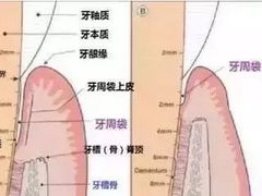 -维乐口腔·埃齐门诊(静安店)