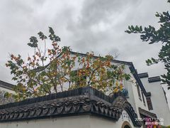 -丝绸小镇荻港古村