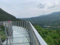 -大余丫山旅游度假区