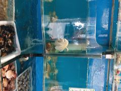 水产区-大城·烧烤海鲜大排档(台东店)