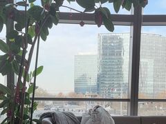 -粤界(望京金辉店)