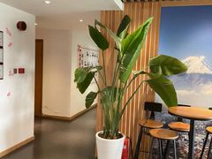 -樱花国际日语(徐家汇中心)