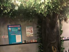 -东直门小院烧烤(回龙观东大街店)