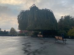 -四季餐厅
