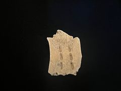 -山东博物馆
