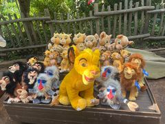 -巴黎迪士尼乐园