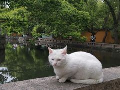 -西园戒幢律寺