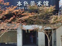 -苏州本色美术馆
