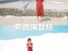 -莺歌海盐场
