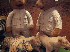 -济州岛泰迪熊博物馆