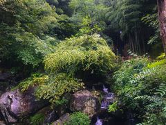 -藏龙百瀑风景区