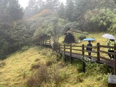 -神农架景区