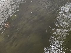 -光头佬钓虾场·烧烤·聚餐·亲子(金沙洲店)