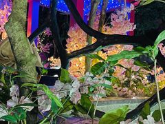 -海口观澜湖火山温泉谷