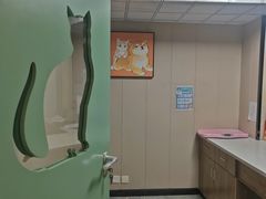 -半岛宠物医院24小时·内窥镜·牙科·碎石中心(府城大道店)