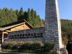 -山王坪喀斯特国家生态公园