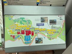 -香港大学