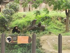 -杭州野生动物世界