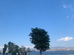 -大理洱海