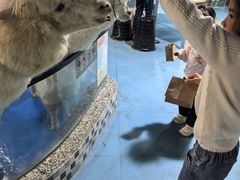 -上海大自然野生昆虫馆(东方明珠·爬宠昆虫探索中心)