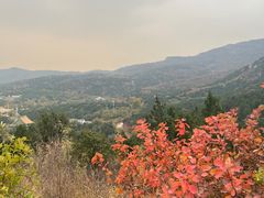 -北京西山国家森林公园